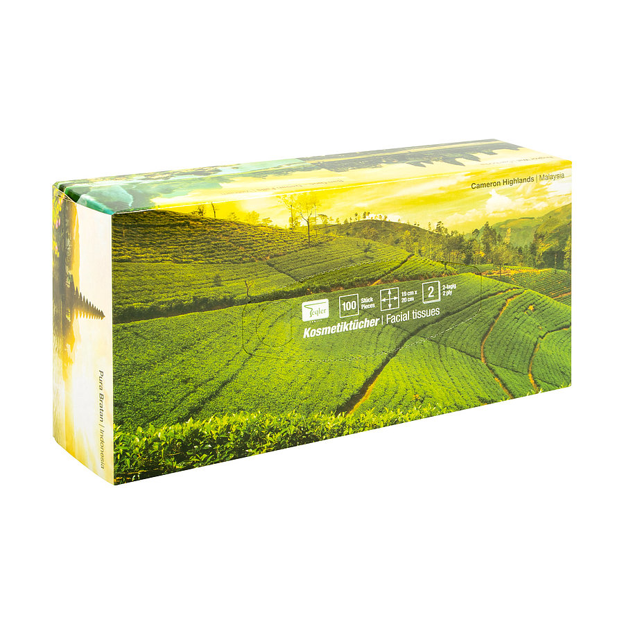 Kozmetikai papírzsebkendő – 100 darabos Kozmetikai papírzsebkendő – 100 darabos Fogyóanyagok 6